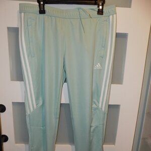 Adidas ClimaCool AshGrn/White Track Pants Size L Women's NEW
